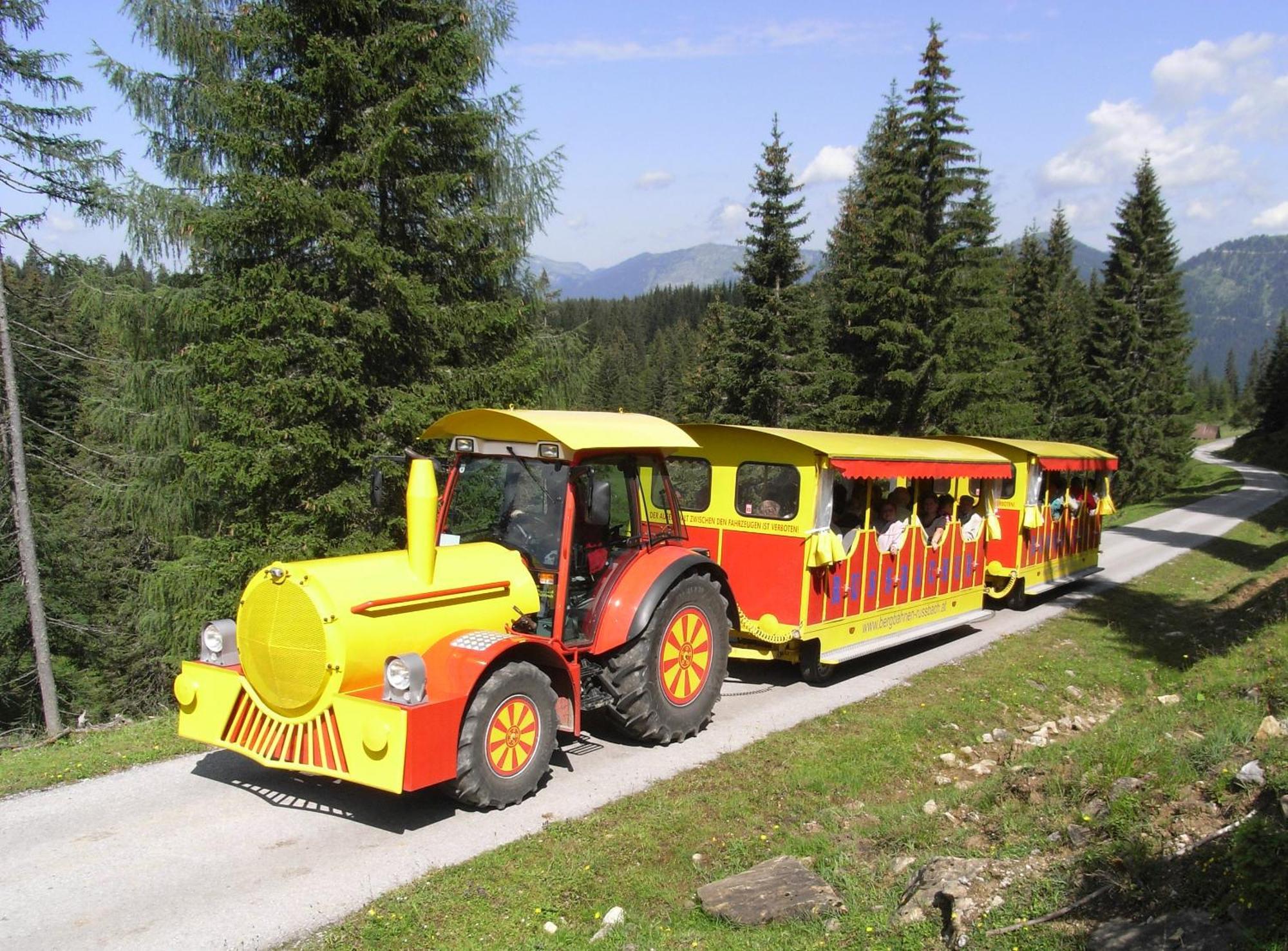 Dachstein West Hotel Gmbh-Kirchenwirt Russbach Русбах-ам-Пас-Гшютт Экстерьер фото
